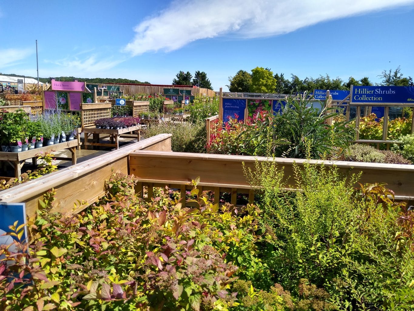 Visit to Hillier Garden Centres Signature Care Homes